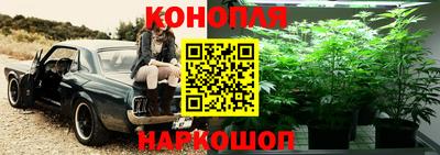 mdma Жуковский