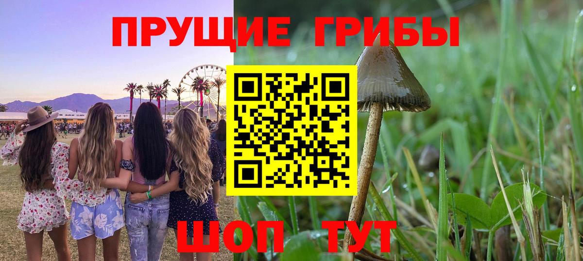 Галлюциногенные грибы Psilocybe  Галлюциногенные грибы GOLDEN TEACHER  Ликино-Дулёво  Вход с VPN 